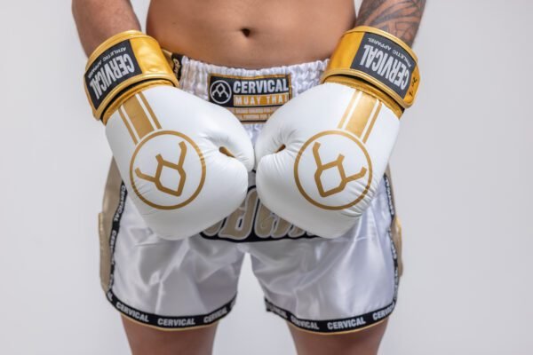 muay-thai shorts and gloves (1)